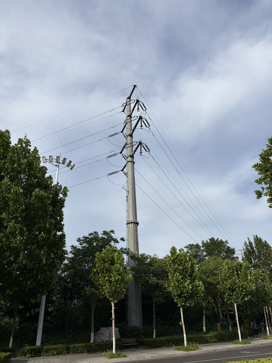 Steel Poles vs Concrete Poles: Which One Is Better?