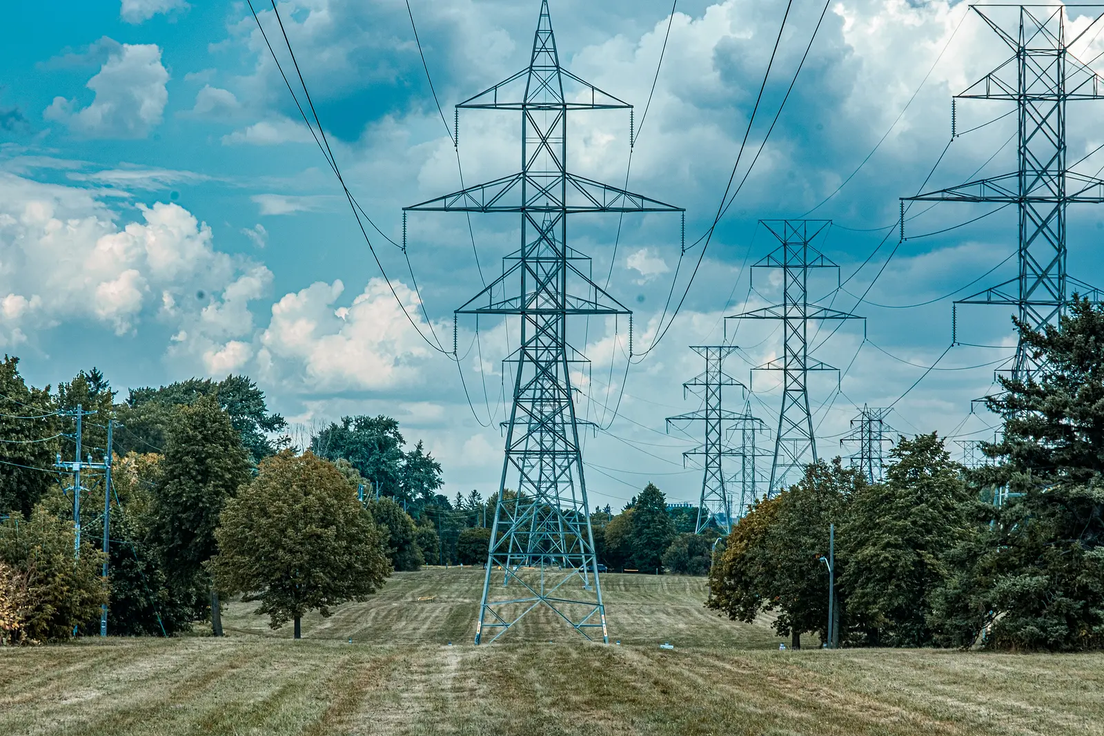 Wind Load (WL)