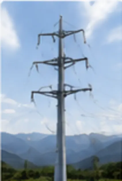 Customized transmission poles