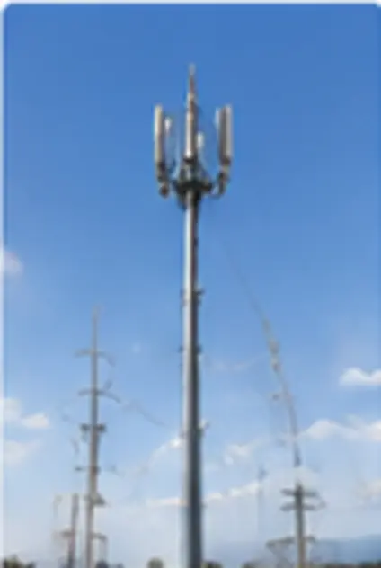 Customized telecom poles