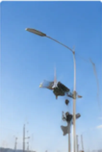 Customized solar and wind poles