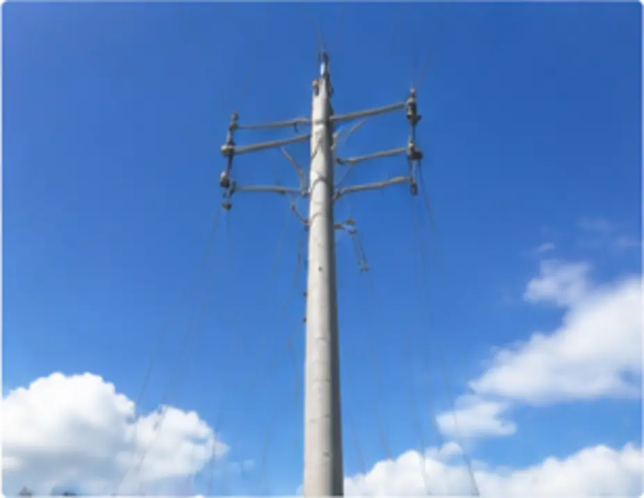 Galvanized distribution pole